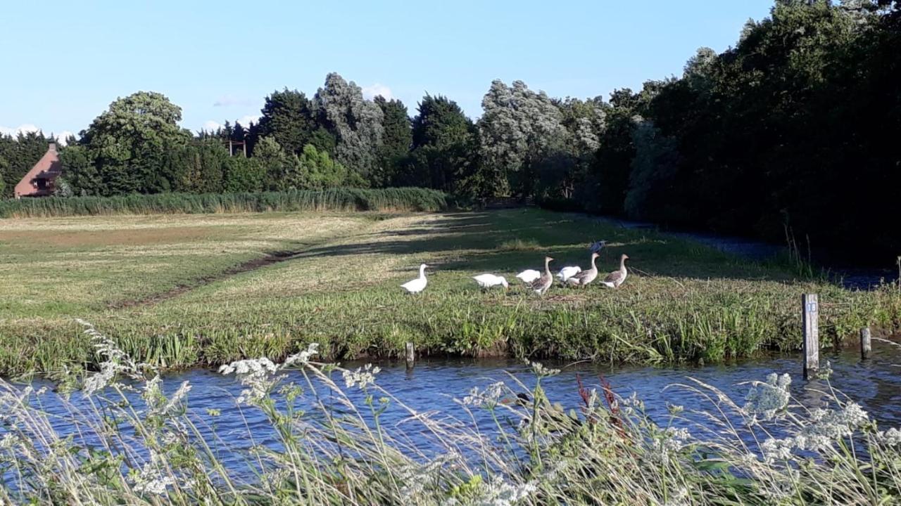 B&B Bij Tante Teun Naaldwijk Esterno foto